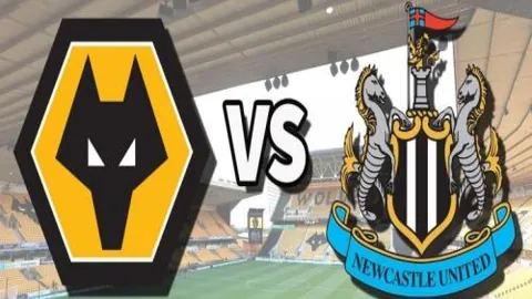 kaiyun·开云（中国）